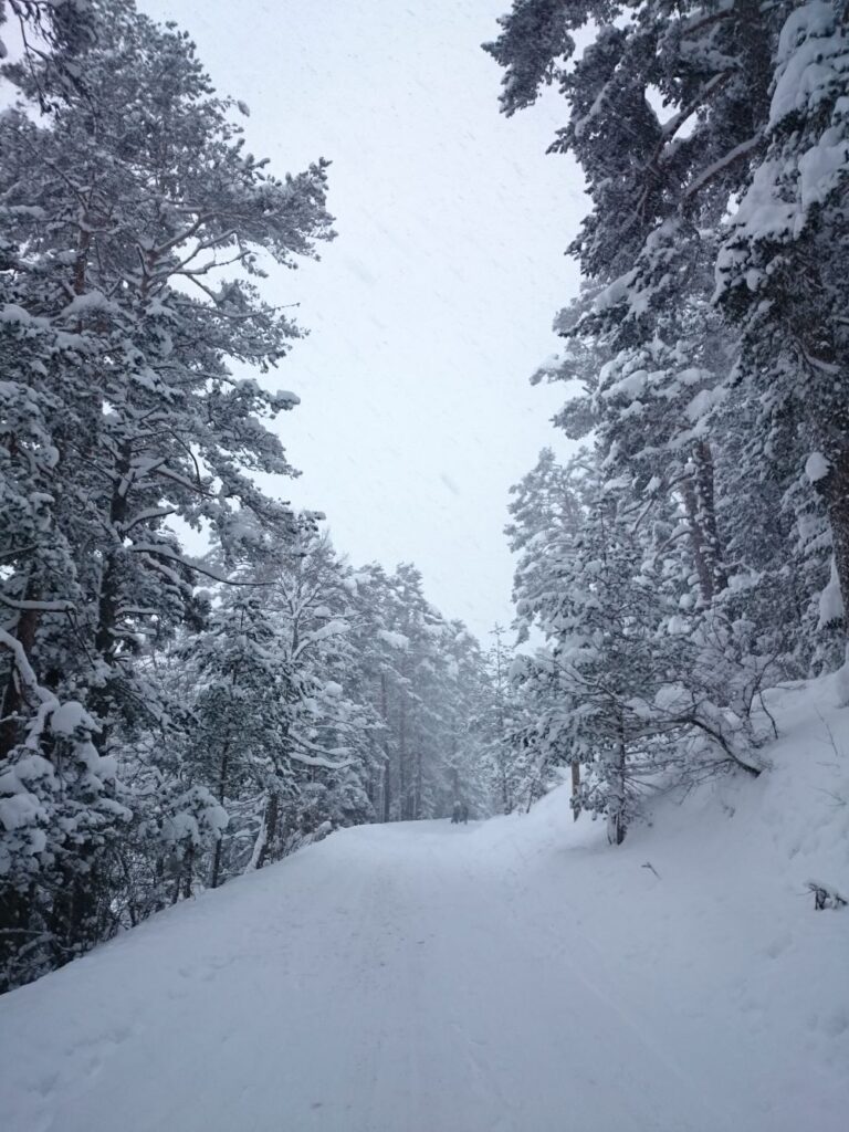 Bolu Mountain