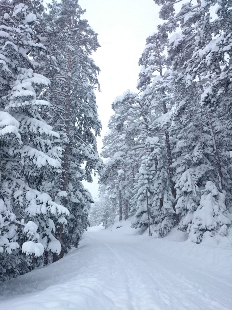 Bolu Mountain